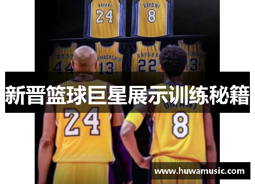 新晋篮球巨星展示训练秘籍